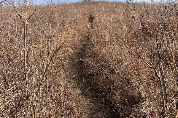 Clinton State Park Kansas